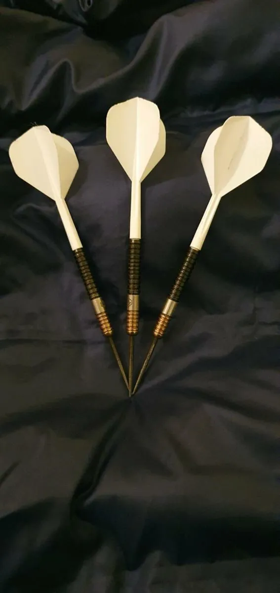 24g Ross Smith Darts - Image 4