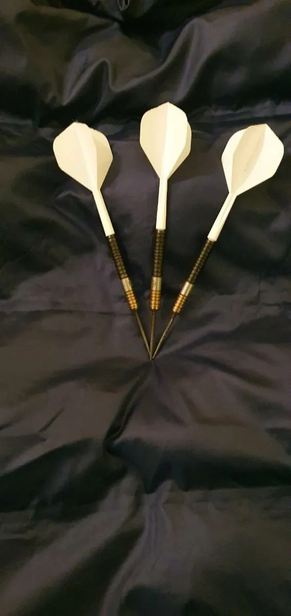 24g Ross Smith Darts - Image 2