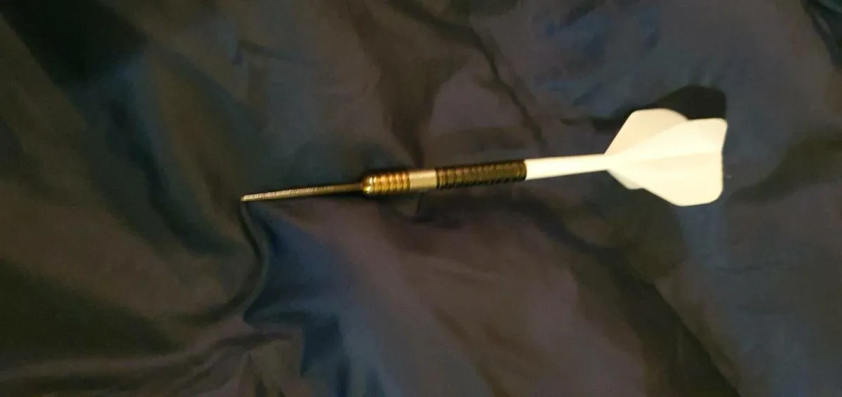 24g Ross Smith Darts - Image 3