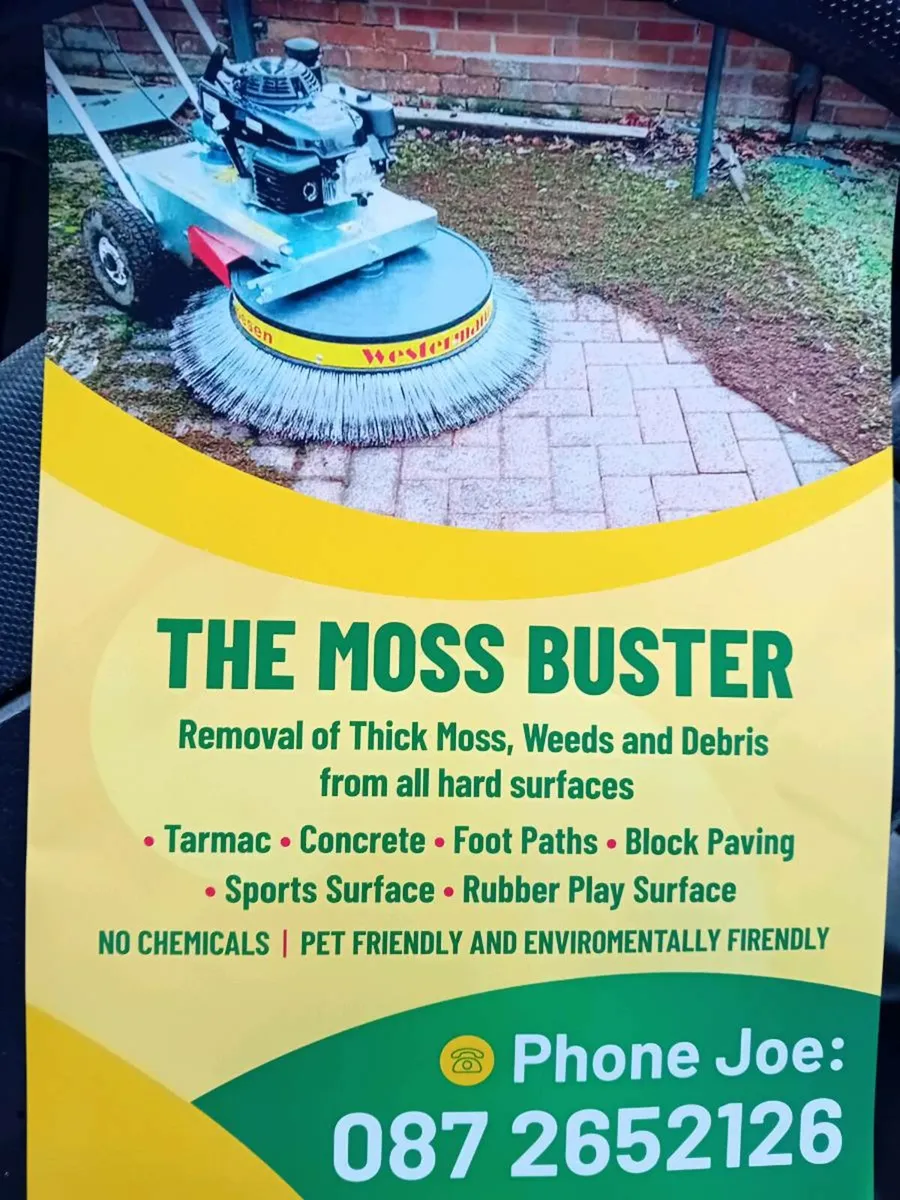 Moss removal service - Image 1