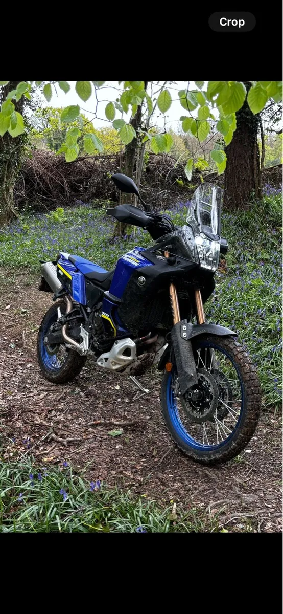 Yamaha Tenere World Raid - Image 2
