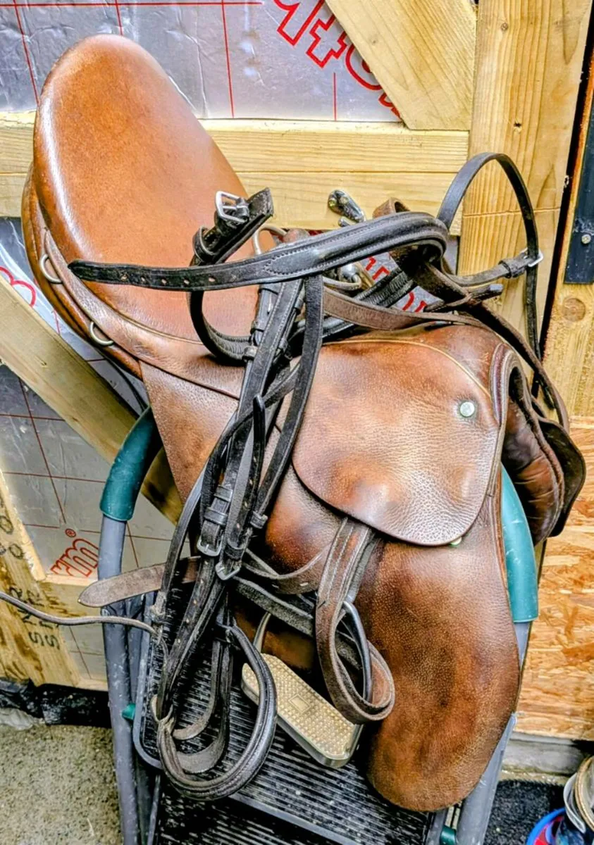 Equestrian complete horse riding set *reduced* - Image 1