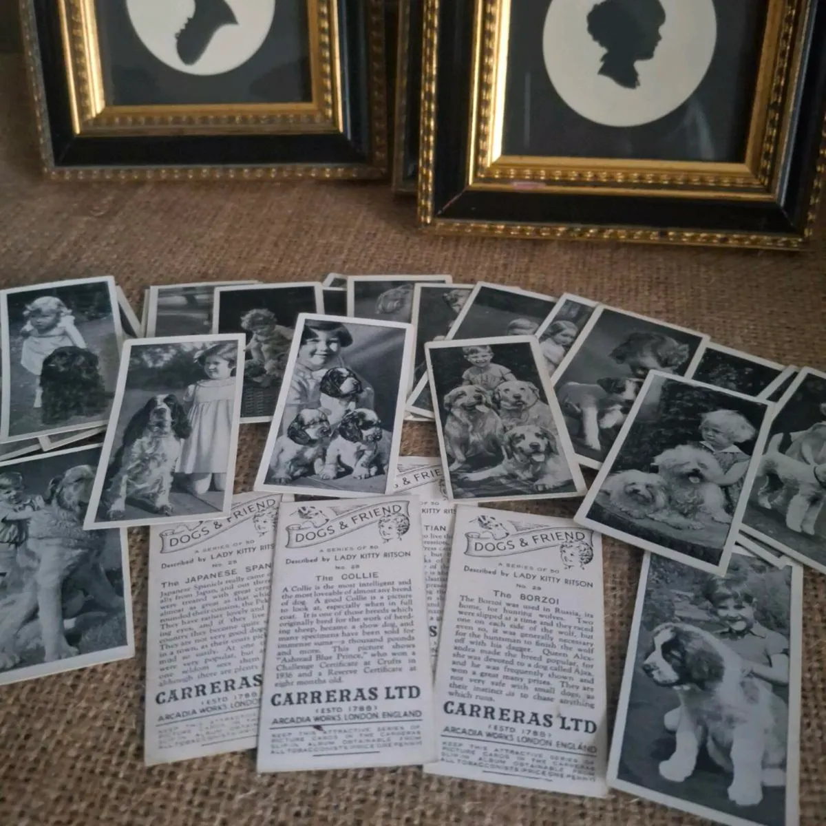 Dogs & Friend Cigarette Cards - Image 1