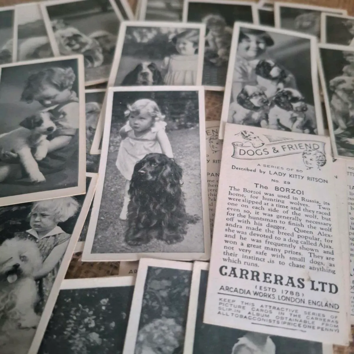 Dogs & Friend Cigarette Cards - Image 2