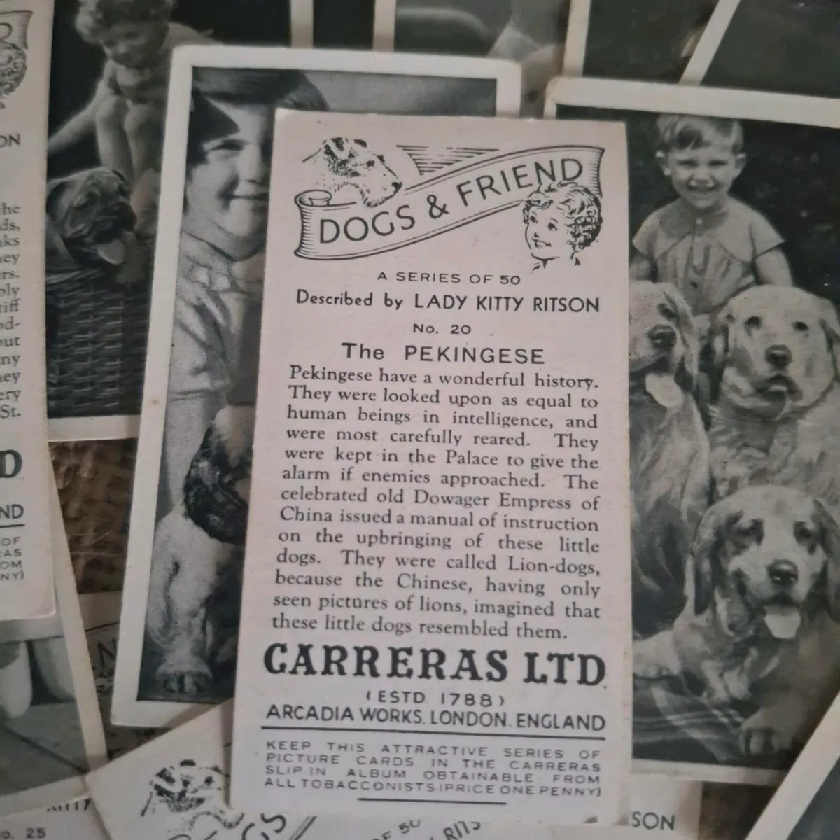 Dogs & Friend Cigarette Cards - Image 3