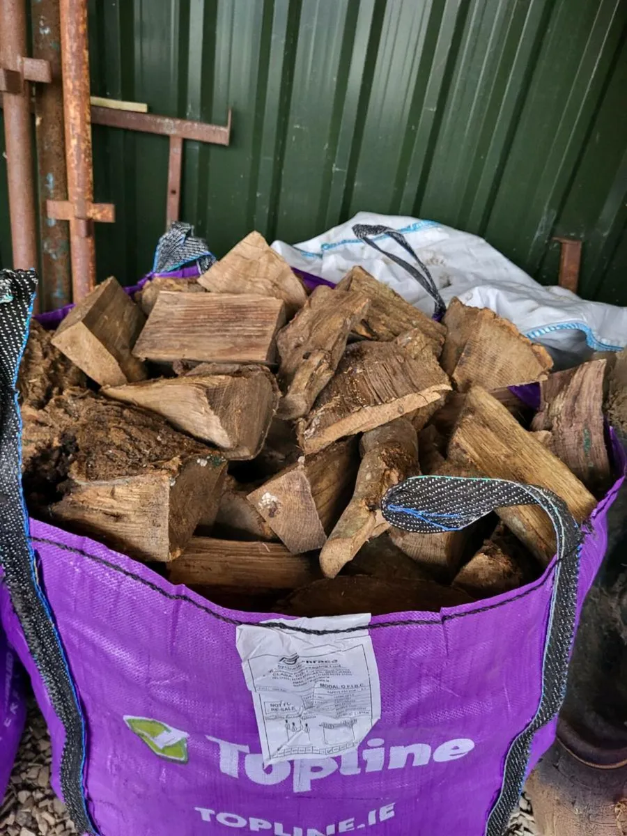 Firewood - Image 2