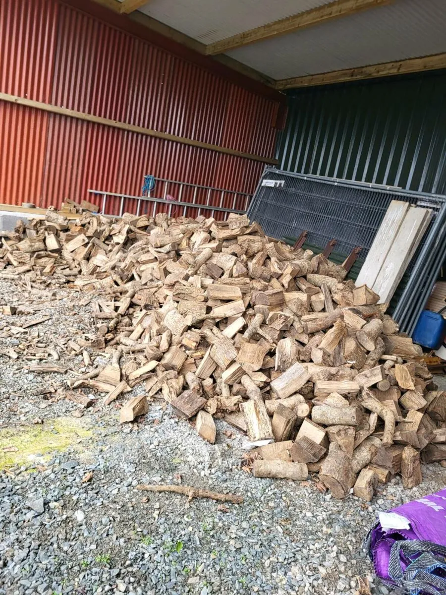 Firewood - Image 1