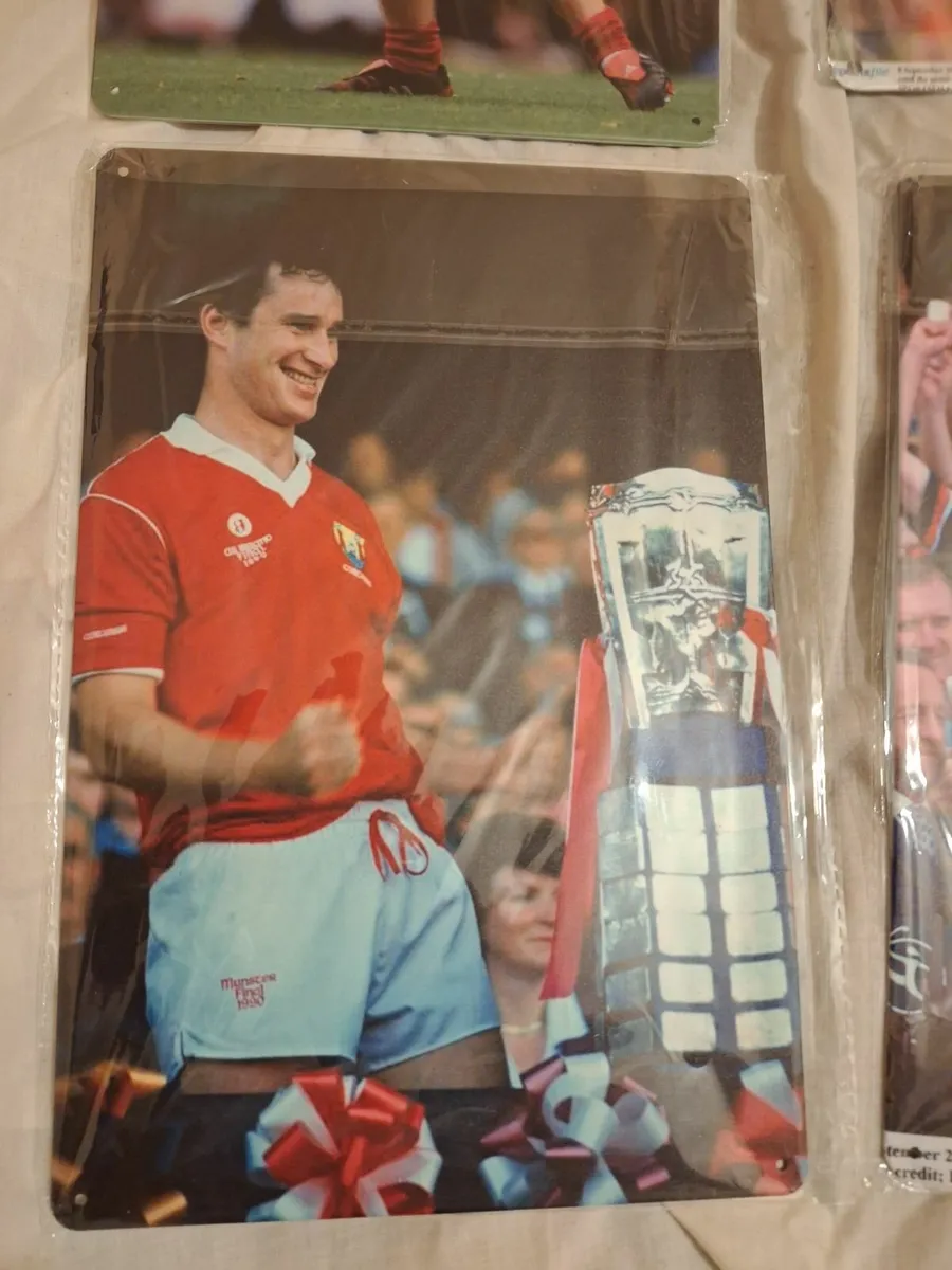 Cork Hurling GAA signs - Image 2