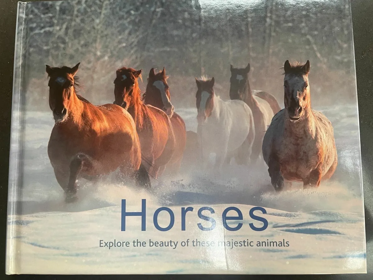 Horse-riding Books & Horse Breed Books - Image 4