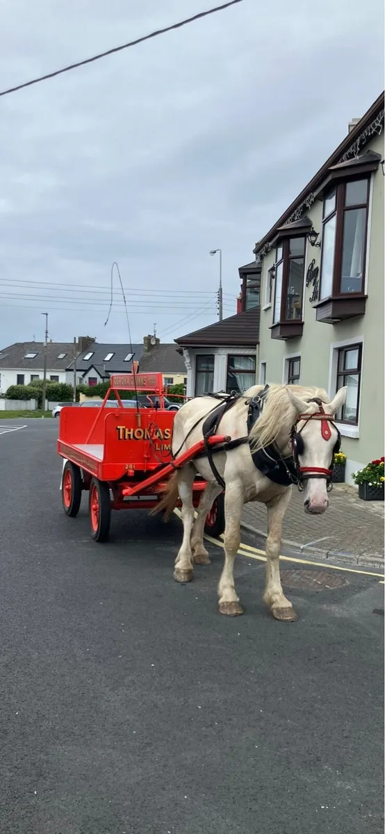 Driving Mare - Image 1