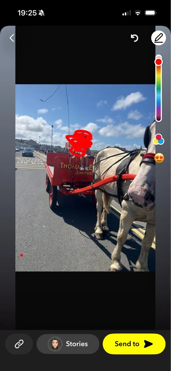 Driving Mare - Image 3