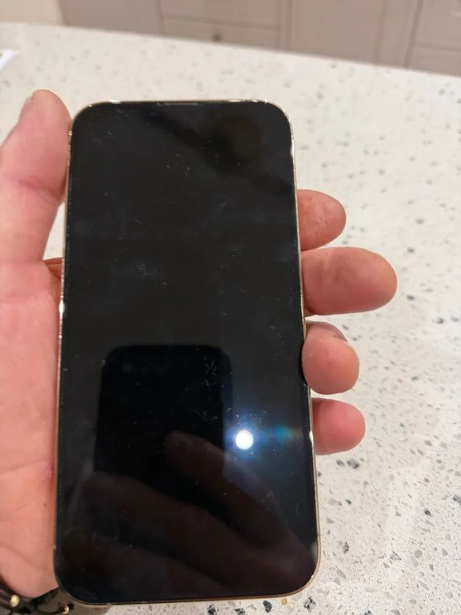 iPhone 13 Pro Max 128 GB - Image 3