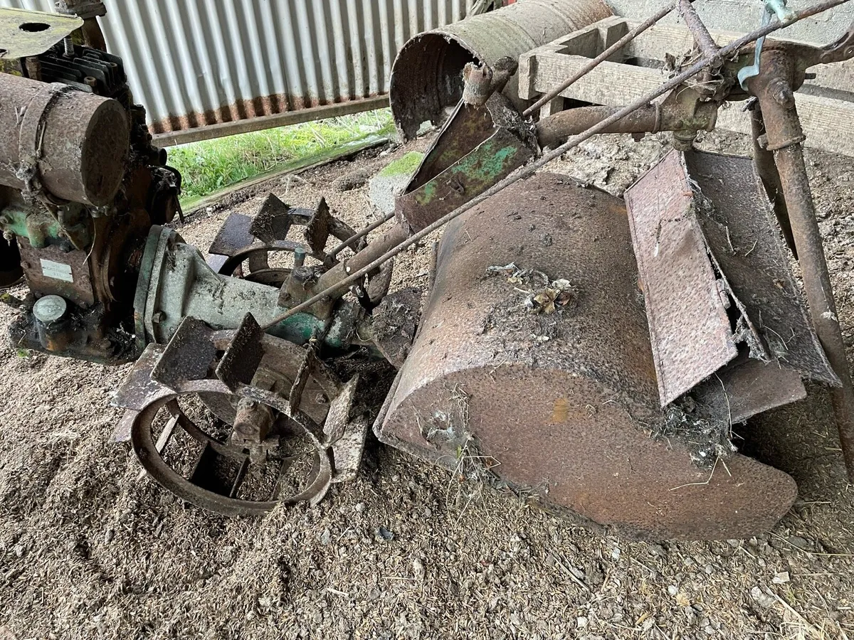 She’d clear out - Image 3