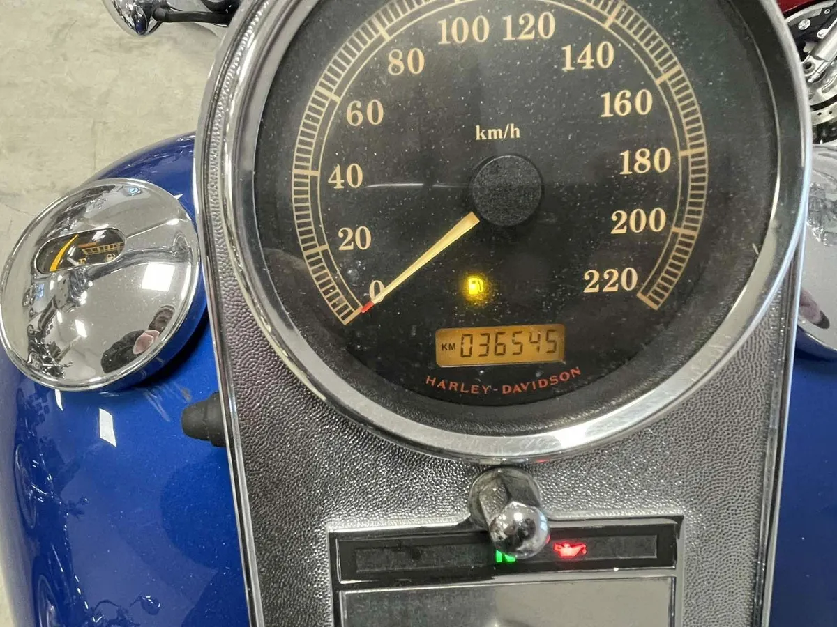 Harley-Davidson Fxst Softail - Image 4