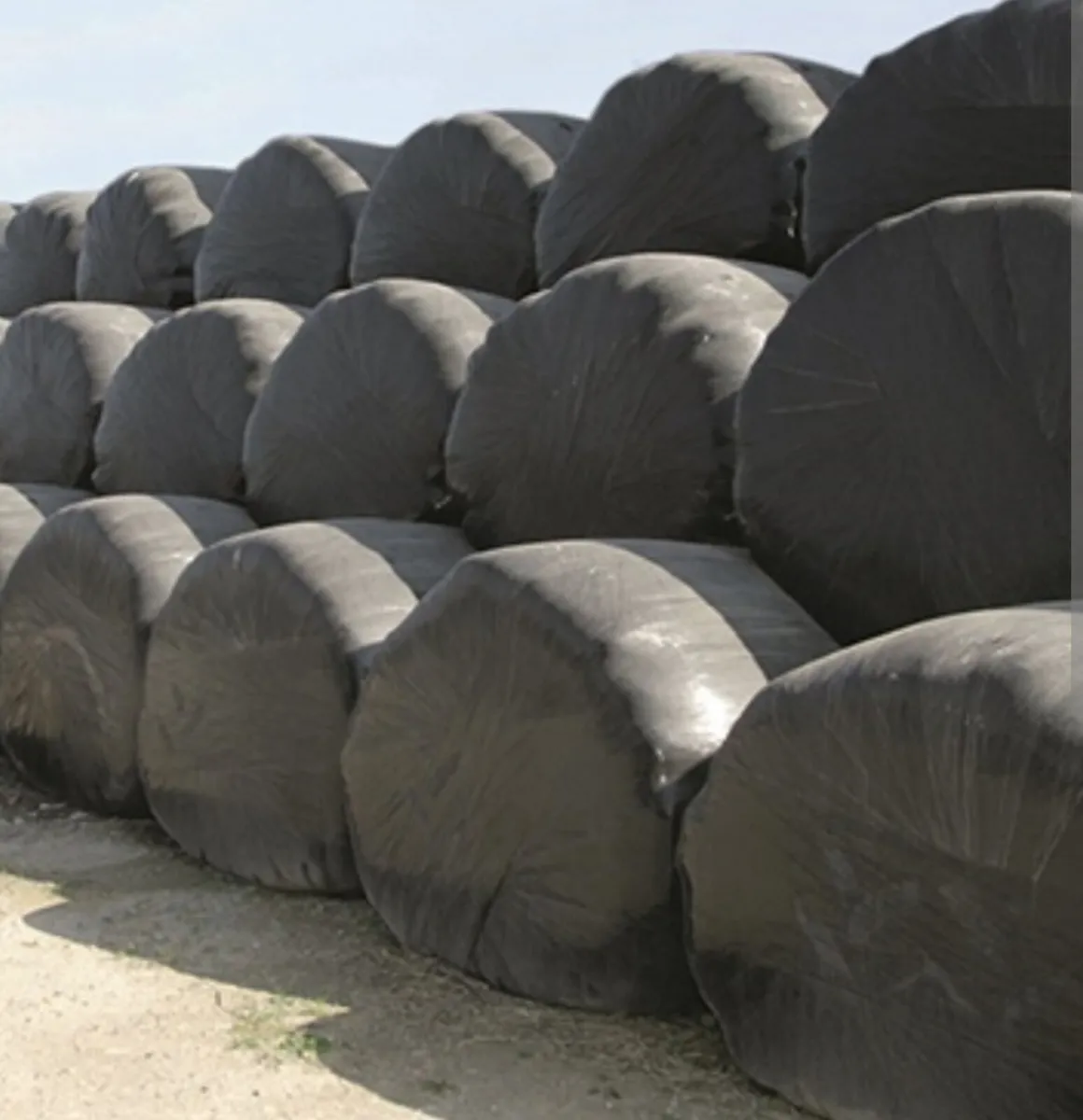 Silage bales for sale