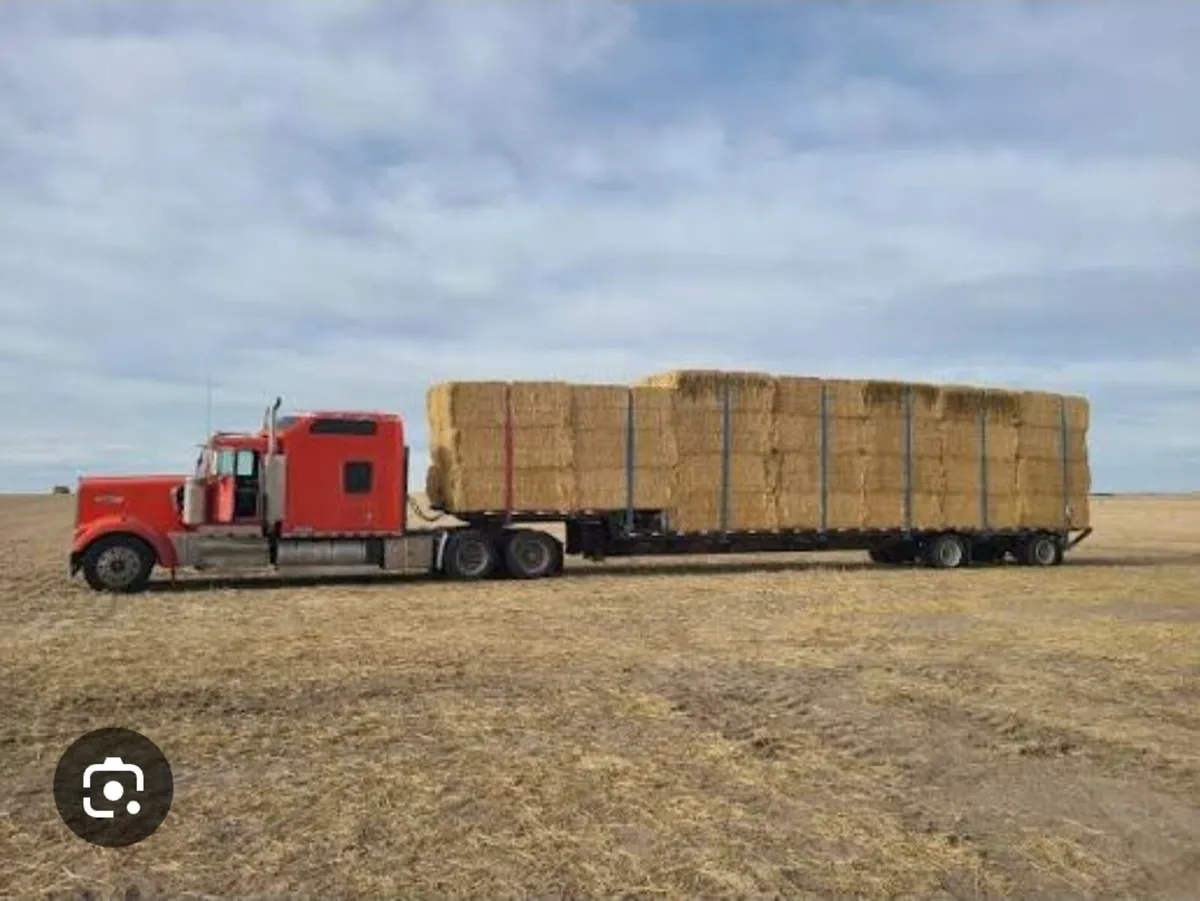 8x4x3 Golden Wheaten Straw - Image 1