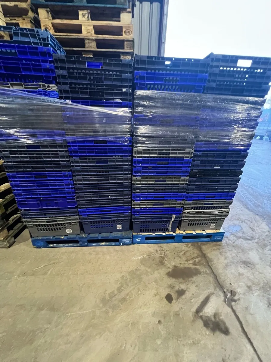 Plastic crates - Image 3