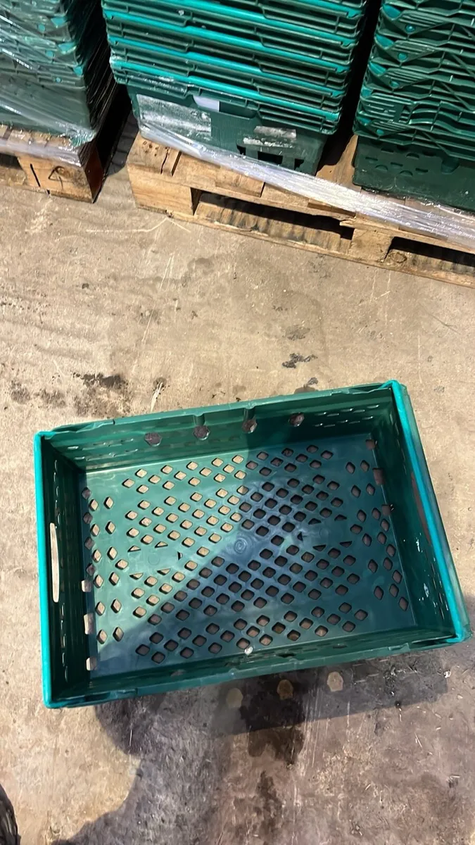 Plastic crates - Image 4