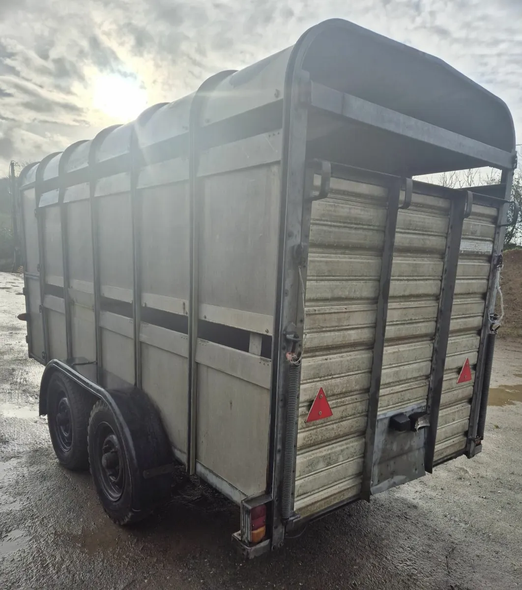 Ifor Williams 12 x 5 cattle trailer - Image 4