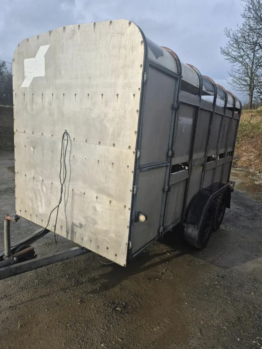 Ifor Williams 12 x 5 cattle trailer - Image 3