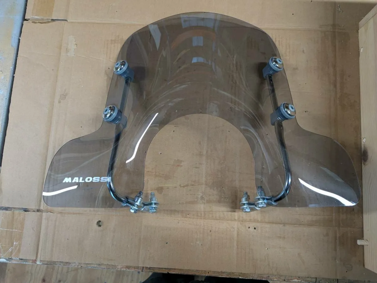 Malossi Windshield and Rear Rack - Image 1