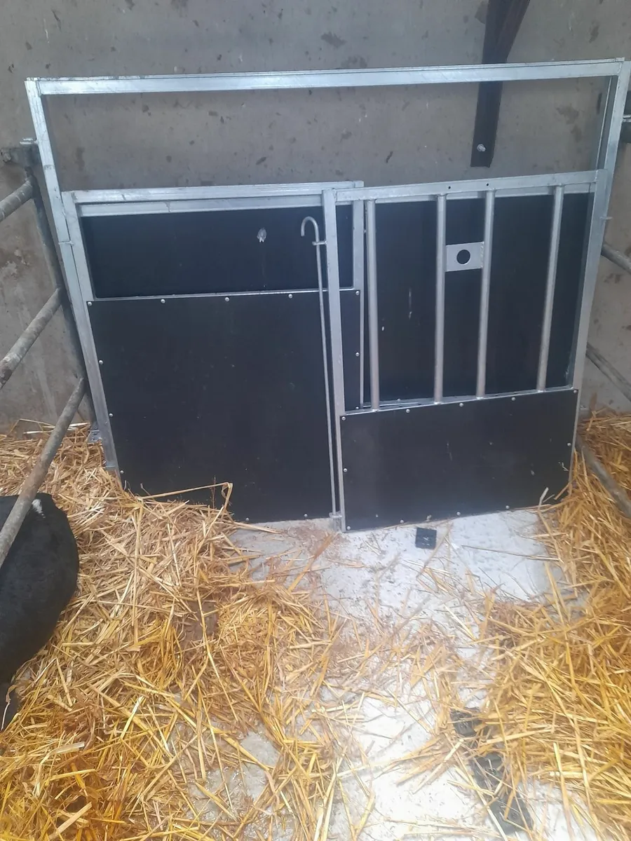 1 Teemore Calf Pin - Image 2