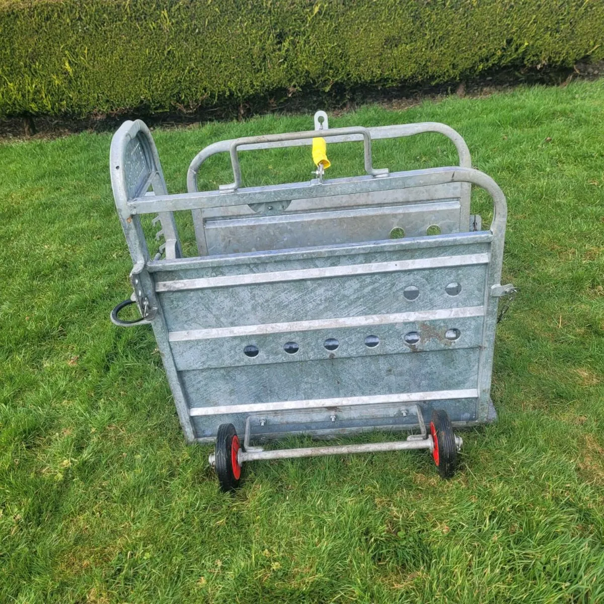 Calf  dehorning  crate - Image 1