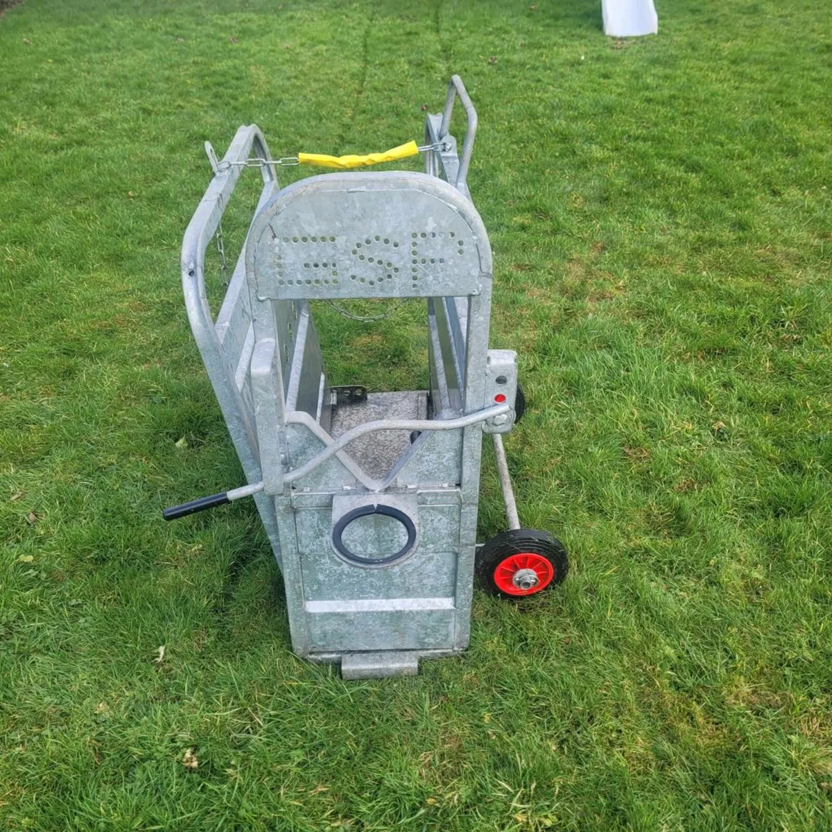 Calf  dehorning  crate - Image 2