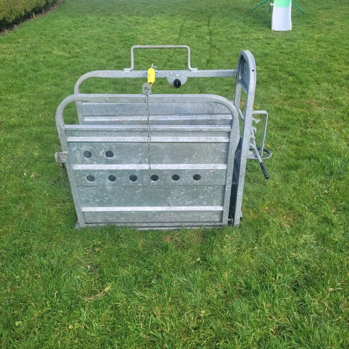 Calf  dehorning  crate - Image 4