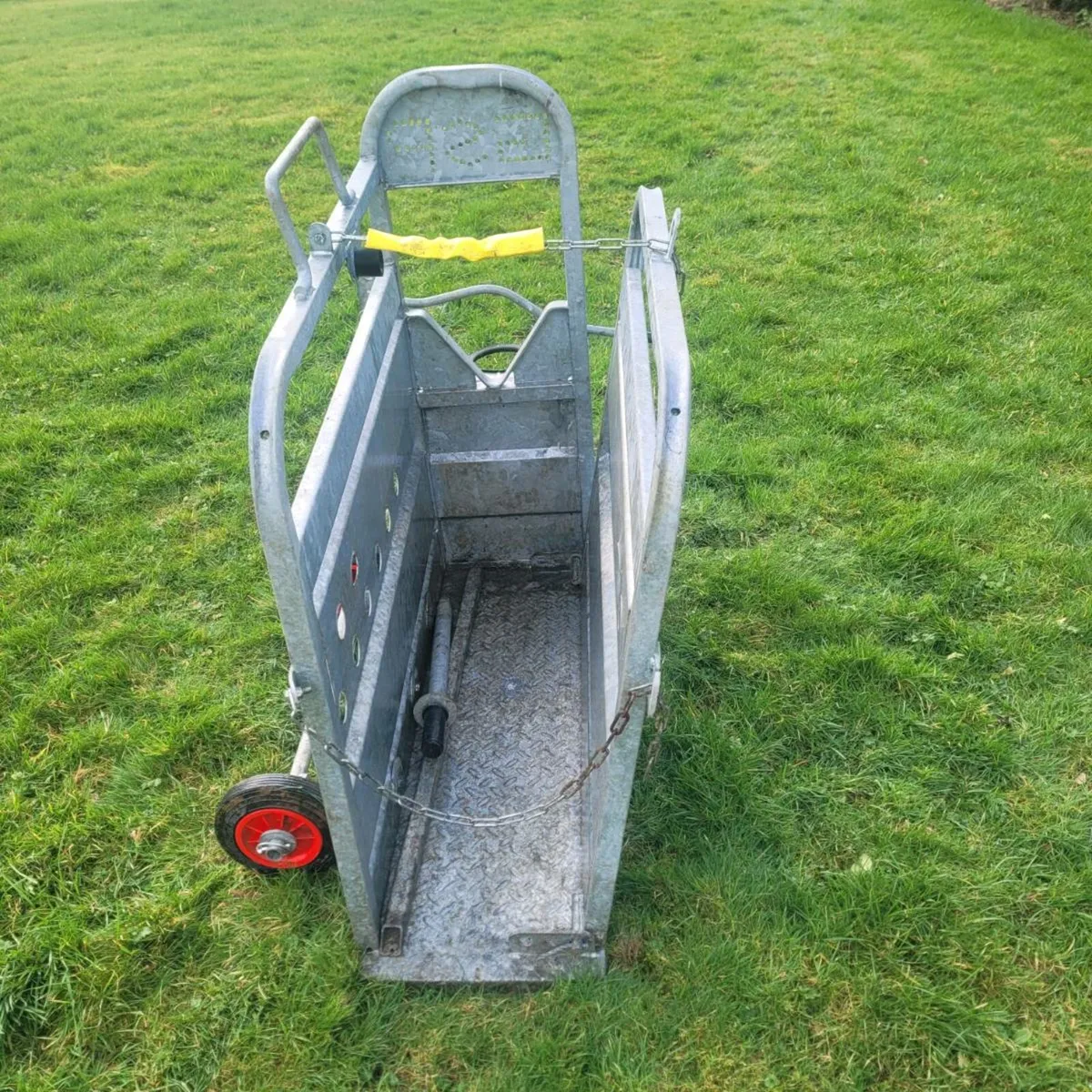 Calf  dehorning  crate - Image 3