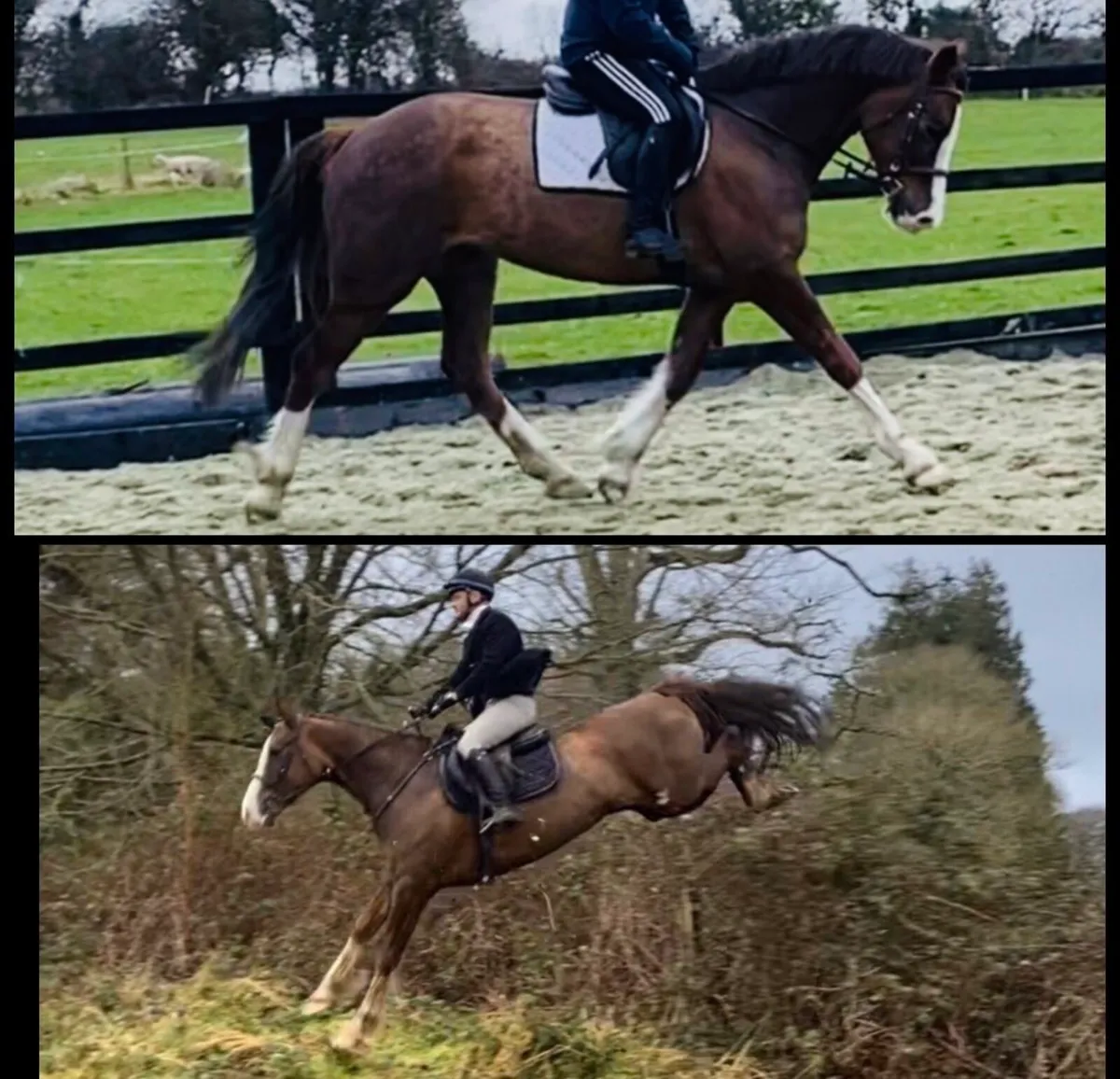 Clifden sales 20th feb - Image 1