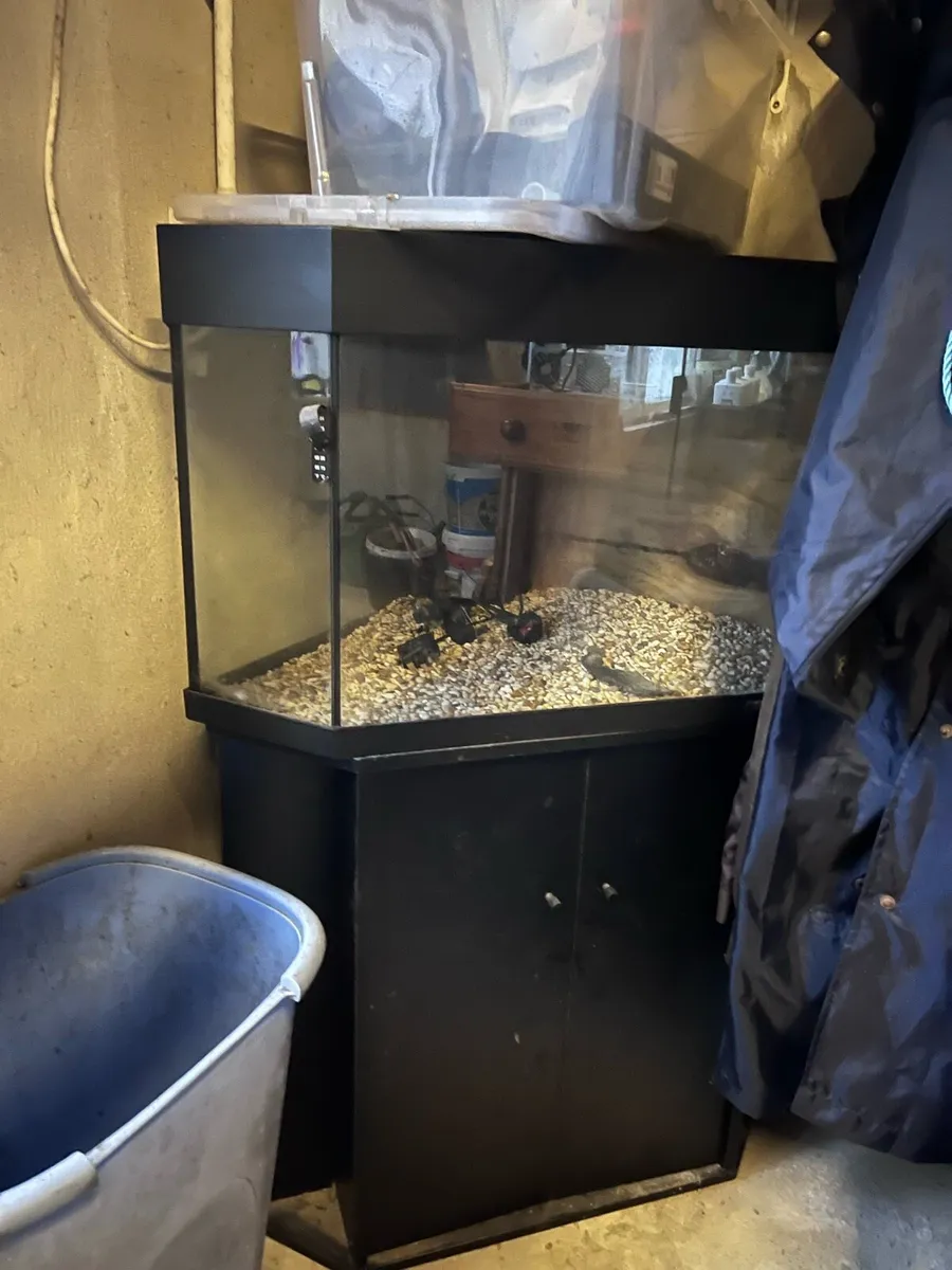 Corner fish tank with cabinet - Image 1