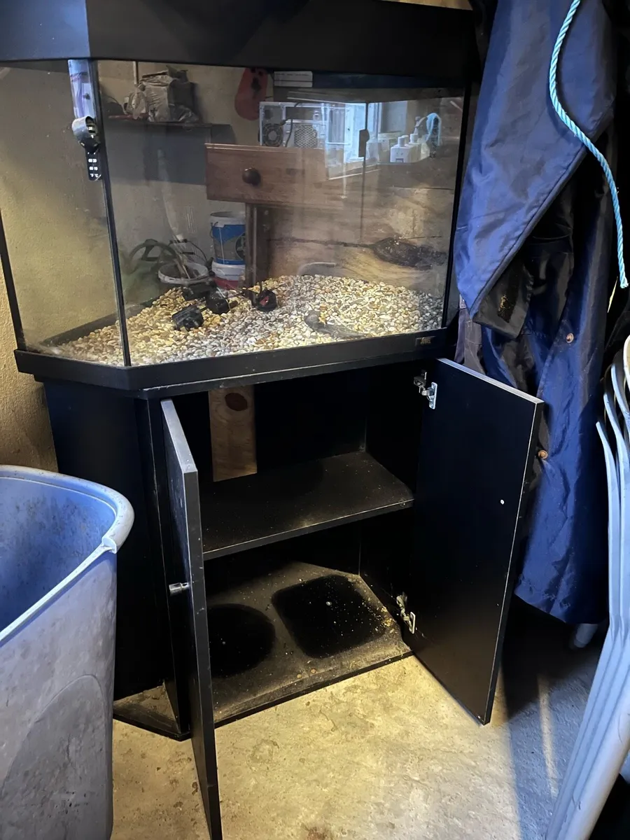 Corner fish tank with cabinet - Image 2