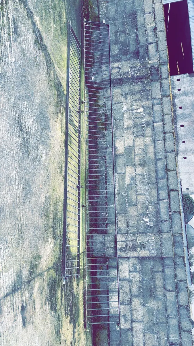 Steel railings - Image 3