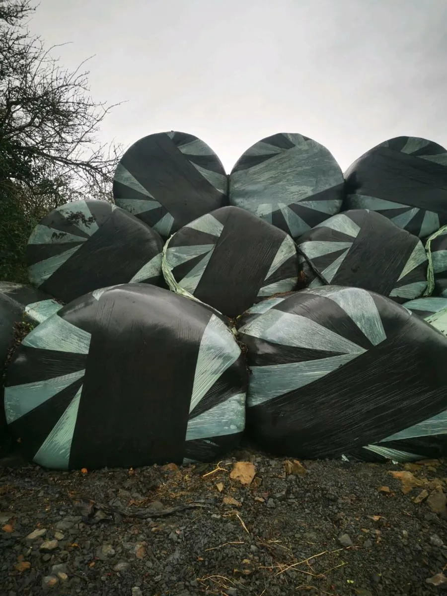 Silage bales and haylage - Image 2