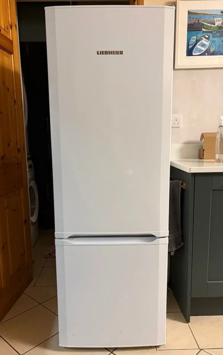 Fridge Freezer &/Or Dishwasher - Image 1