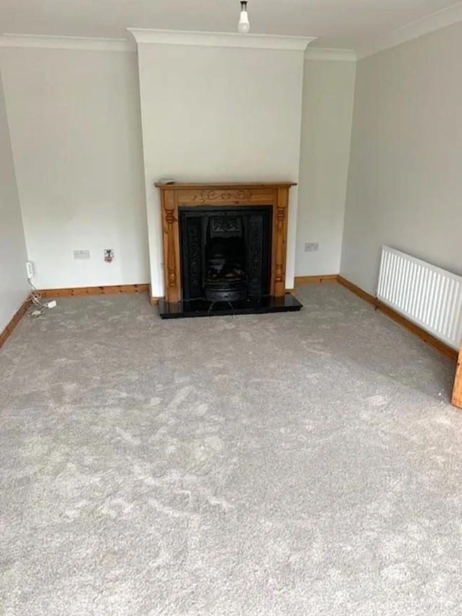 House carpet - Image 1