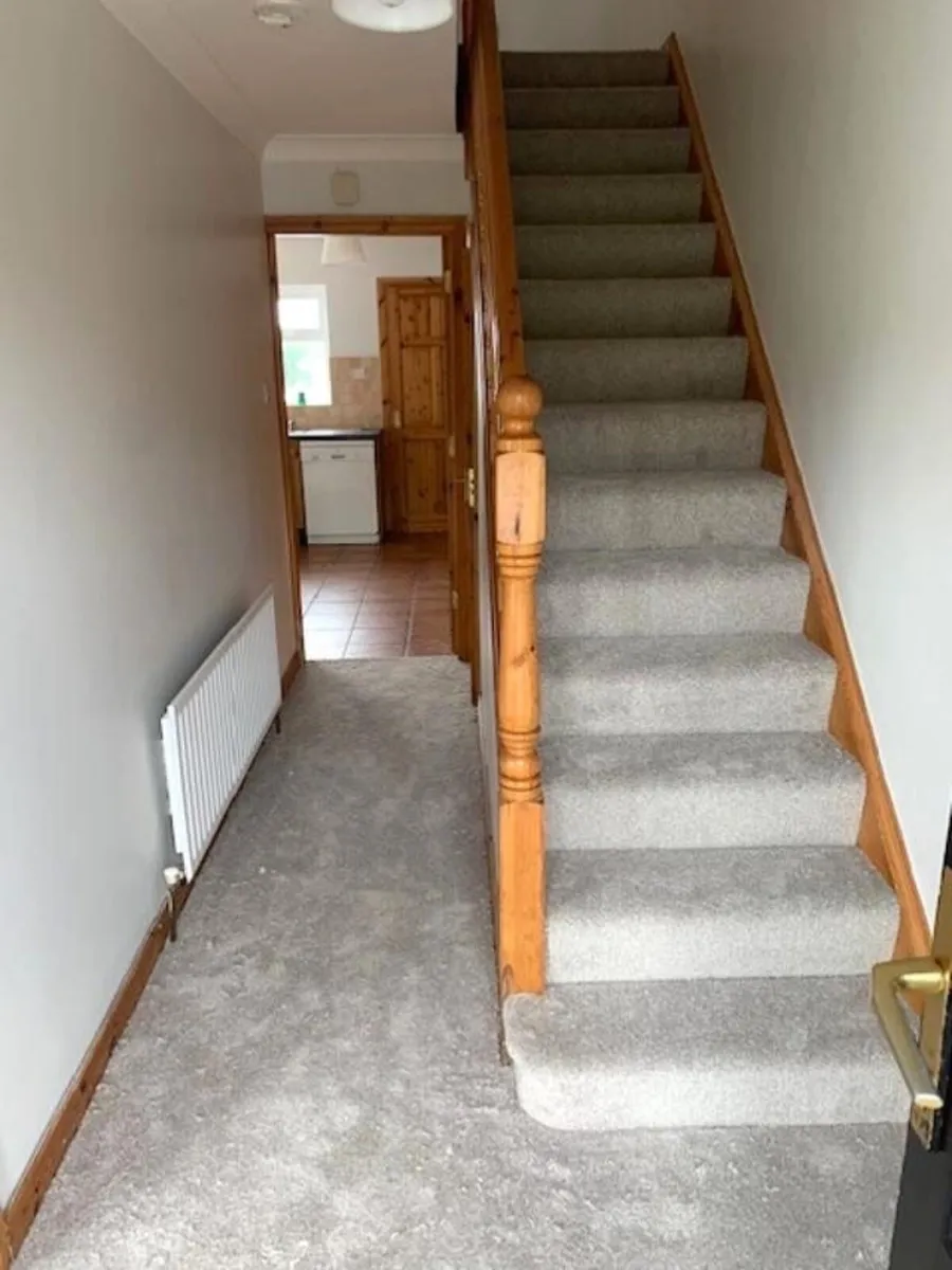 House carpet - Image 2