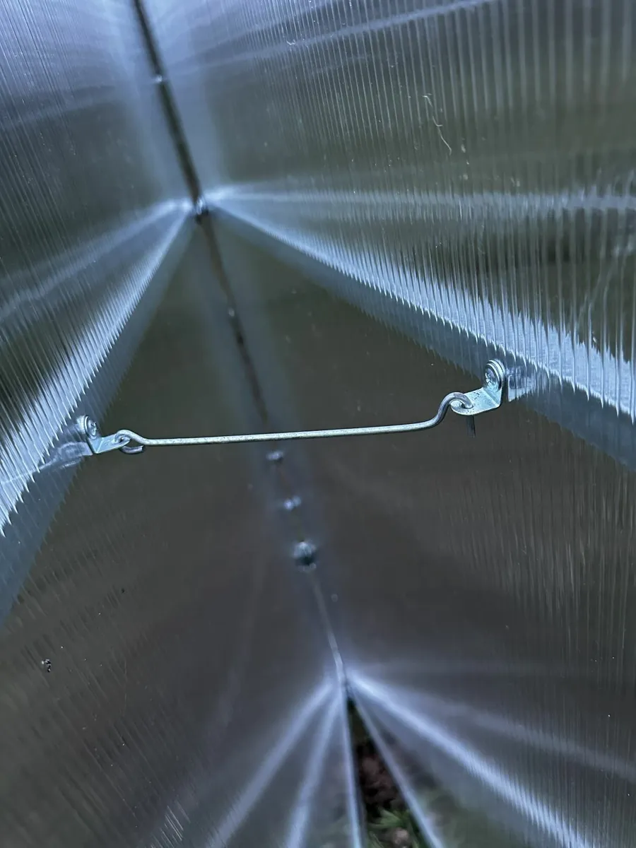 3x12m Greenhouse - Image 2