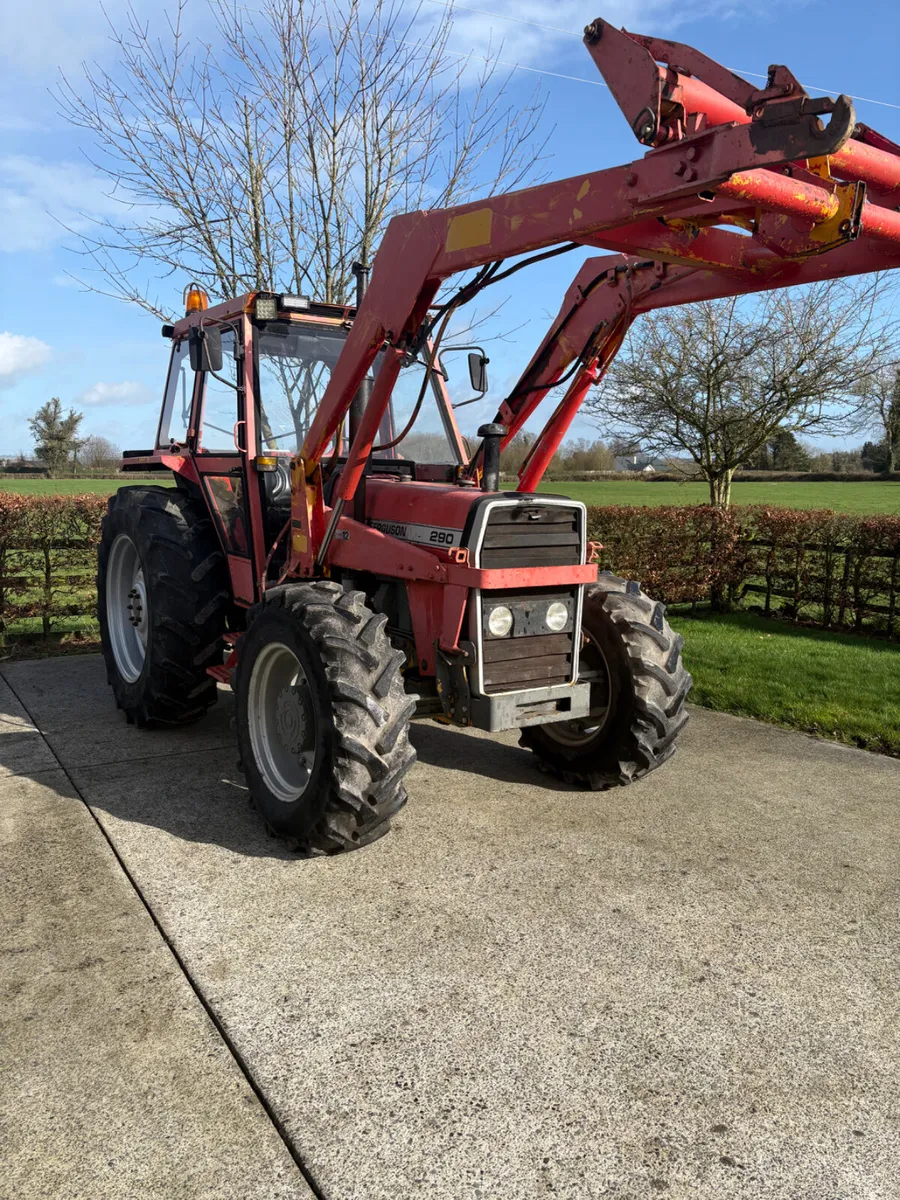 Massey Ferguson 290 - Image 1