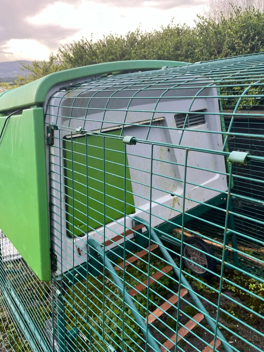 Omlet Eglu Chicken Coop - Hen House - Image 1