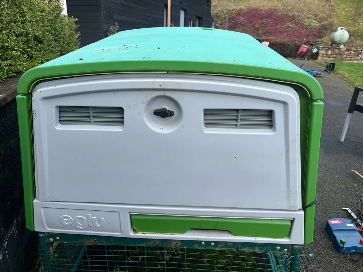 Omlet Eglu Chicken Coop - Hen House - Image 4