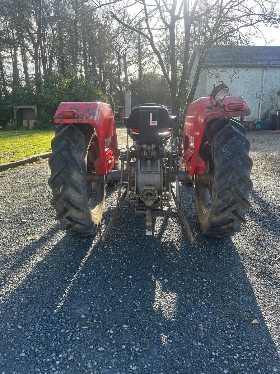 Massey Ferguson 135 - Image 4