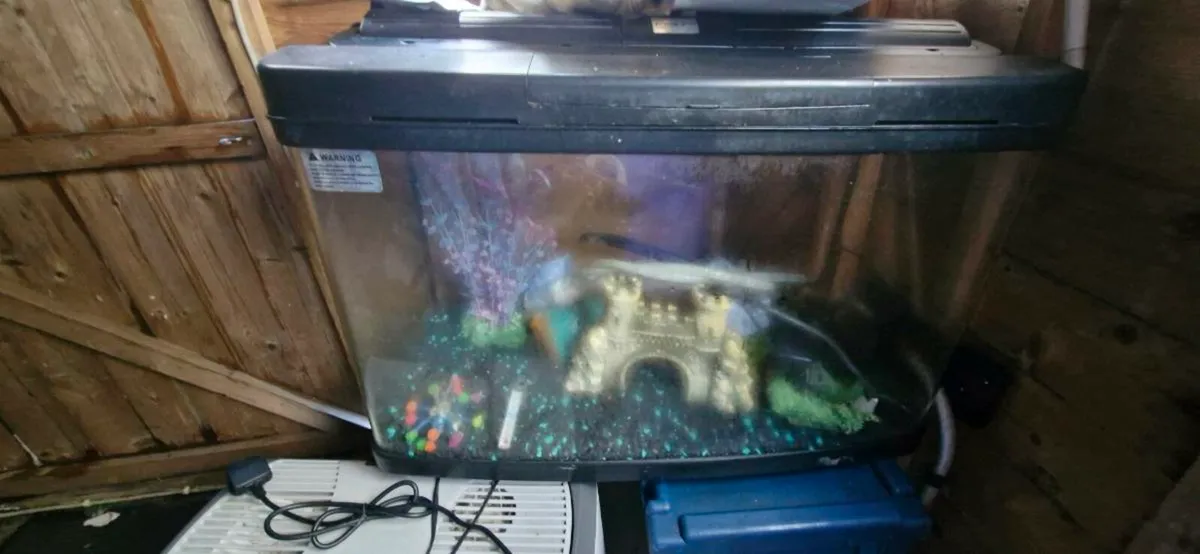 Large fish tank