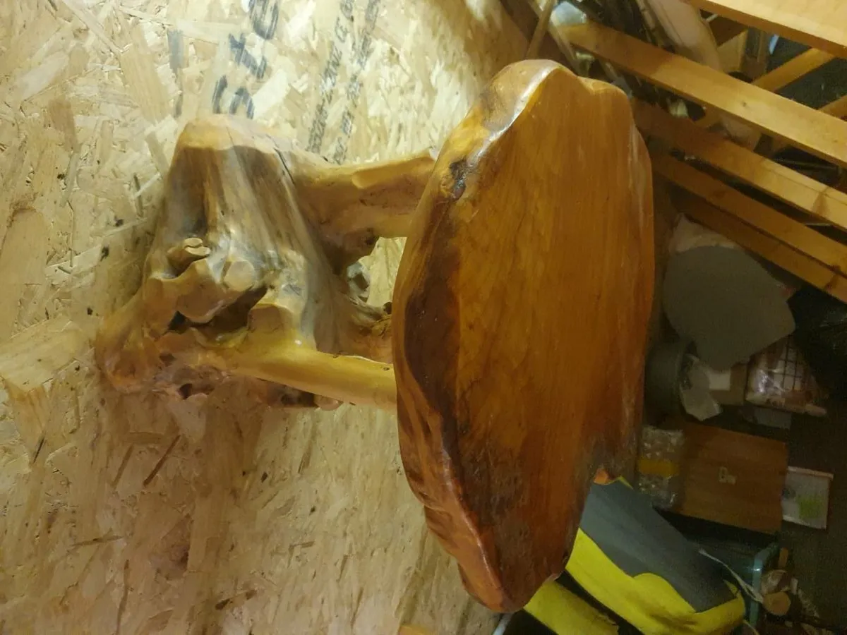 2 coffee table  and inside doors - Image 2