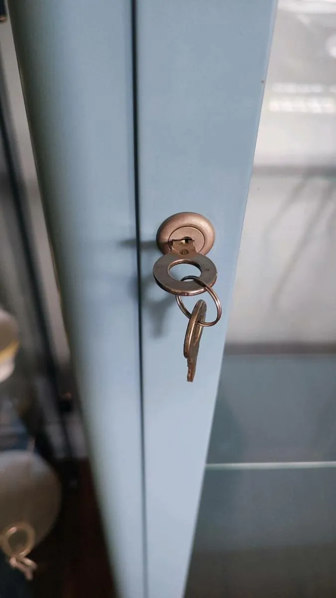 Glass Display Cabinet - Image 3