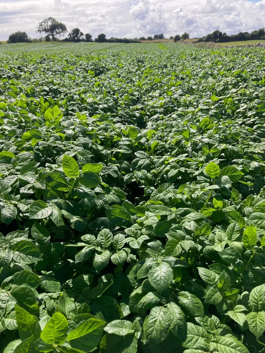 Tillage land required