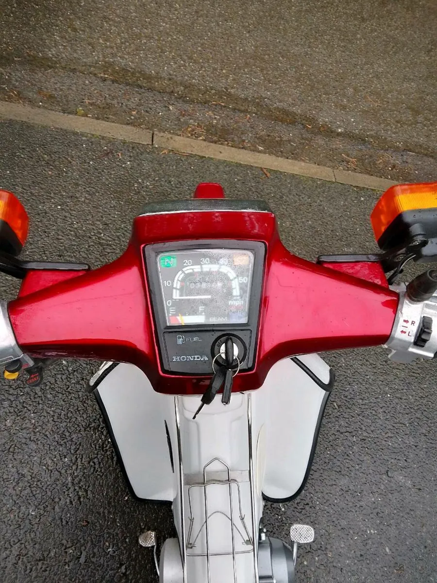 Honda c90 - Image 4