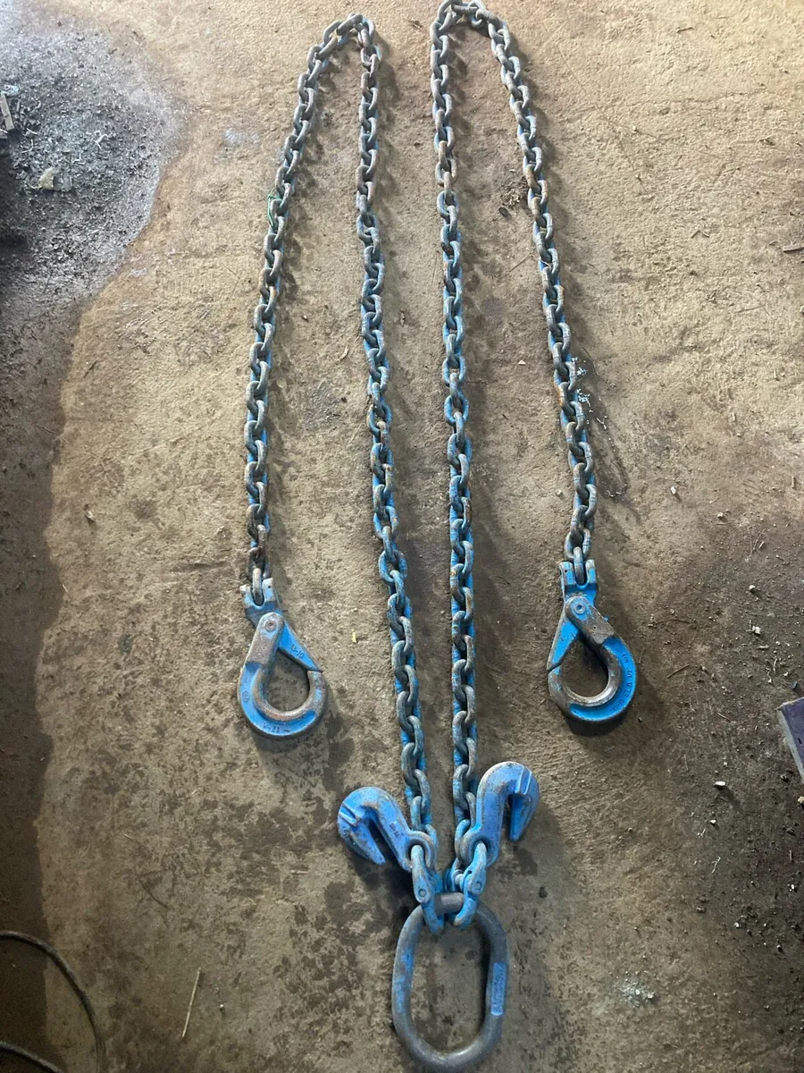 10 tonne double lifting chains - Image 1