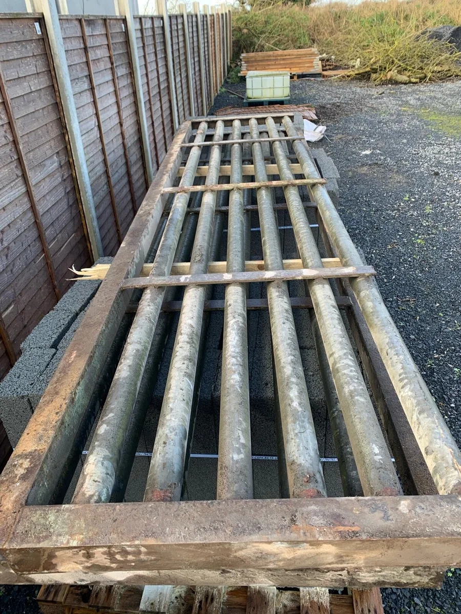 Cattle grid - Image 1